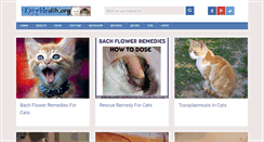 Desktop Screenshot of kittyhealth.org
