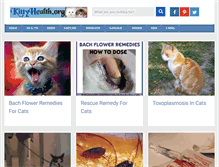 Tablet Screenshot of kittyhealth.org